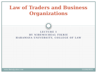 Buss_Org_Lecture 1.pdf